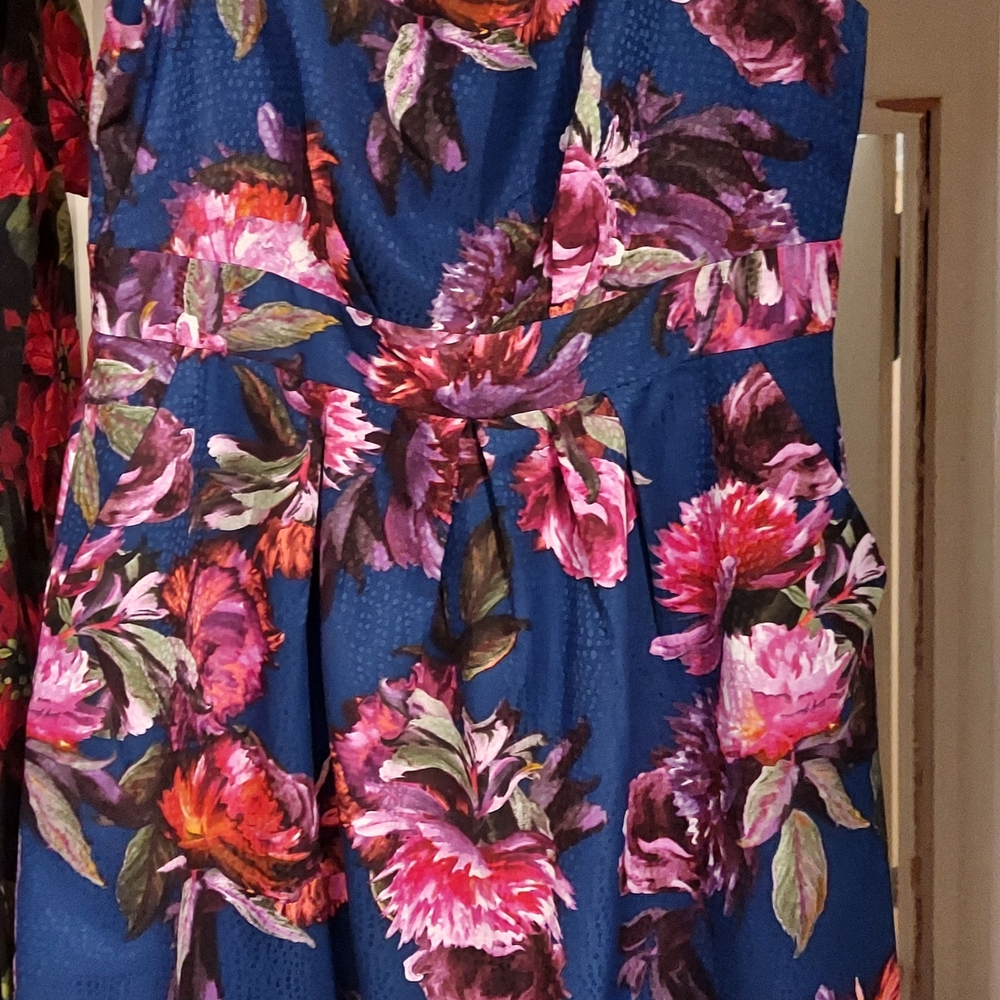 From Anthropolgie Vibrant Floral Dress in Blue and Pink